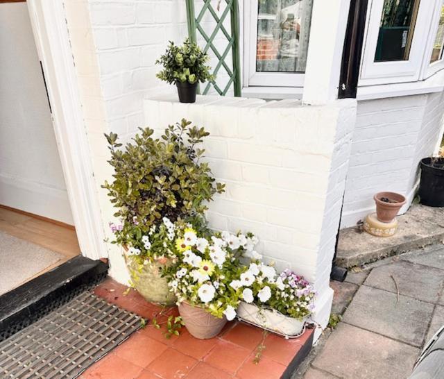 4 Bed House In Daneby Road,Se6 Villa Catford Kültér fotó